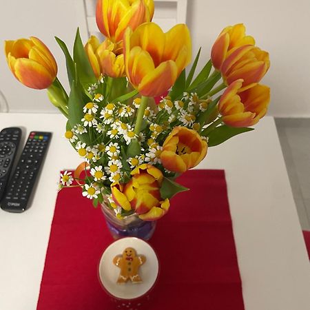 Alexandar13 Apartman Belgrád Kültér fotó