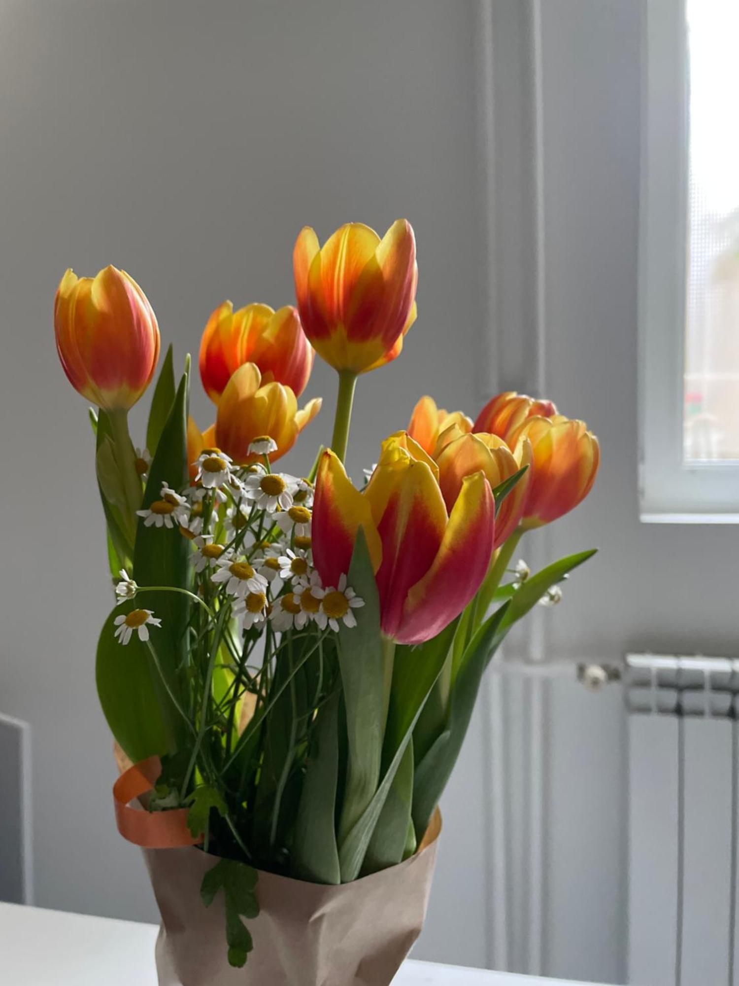 Alexandar13 Apartman Belgrád Kültér fotó